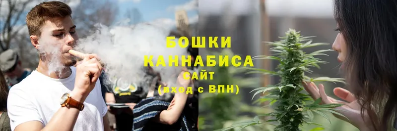 МАРИХУАНА SATIVA & INDICA  сколько стоит  Светлоград 